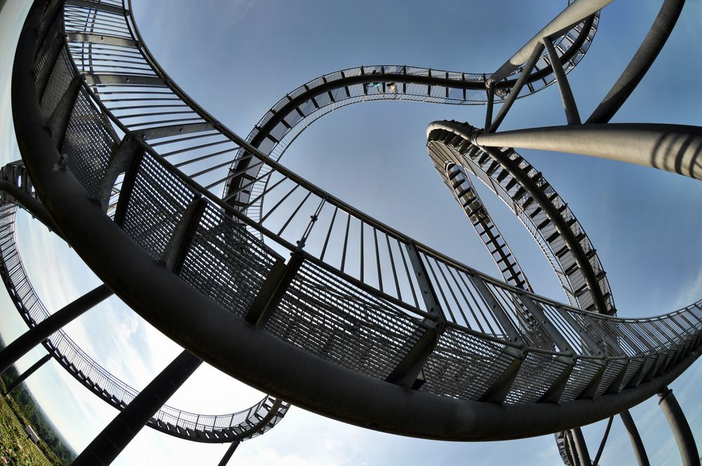 Tiger & Turtle 8