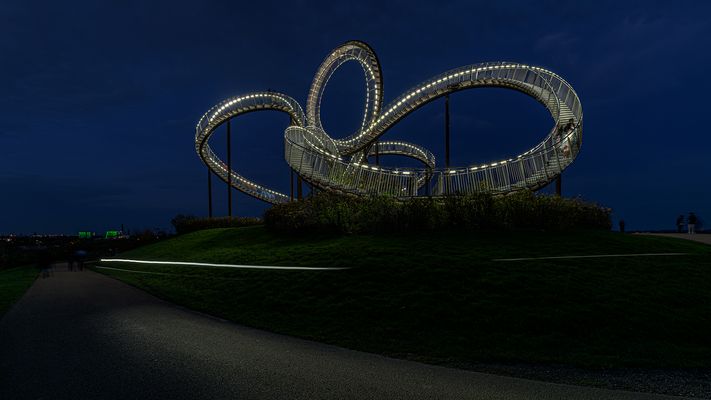 Tiger & Turtle