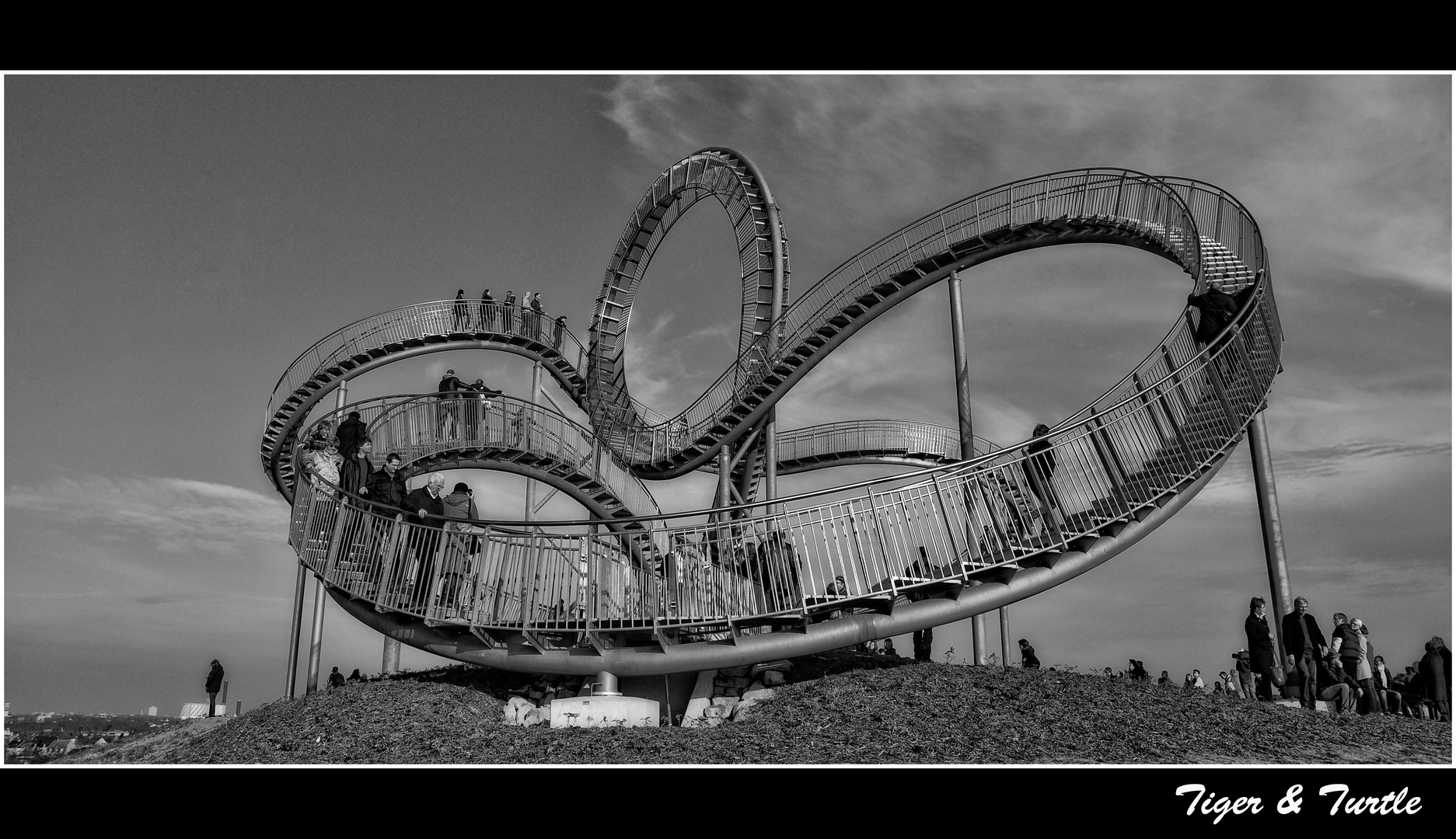 Tiger & Turtle