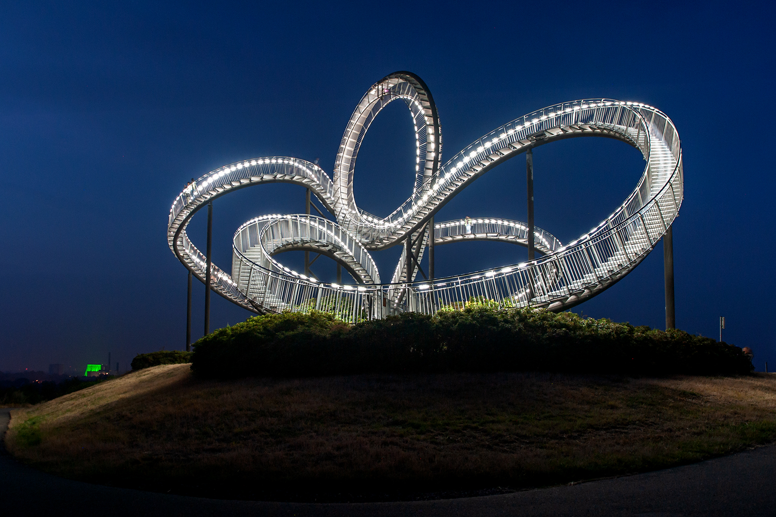 Tiger & Turtle 