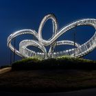 Tiger & Turtle 