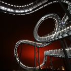 Tiger & Turtle