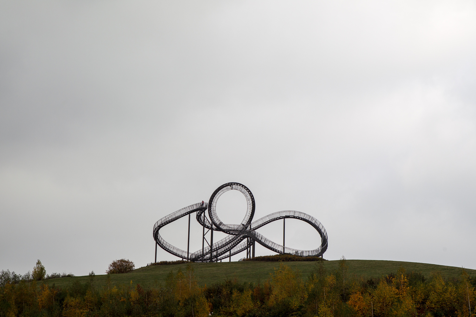 Tiger & Turtle  