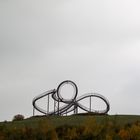 Tiger & Turtle  