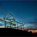 -Tiger & Turtle-