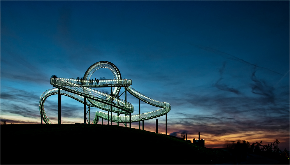 -Tiger & Turtle-