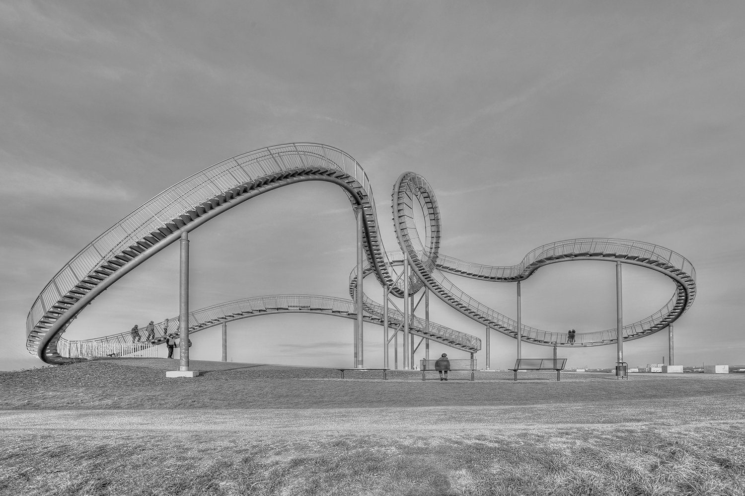 tiger & turtle