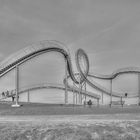 tiger & turtle