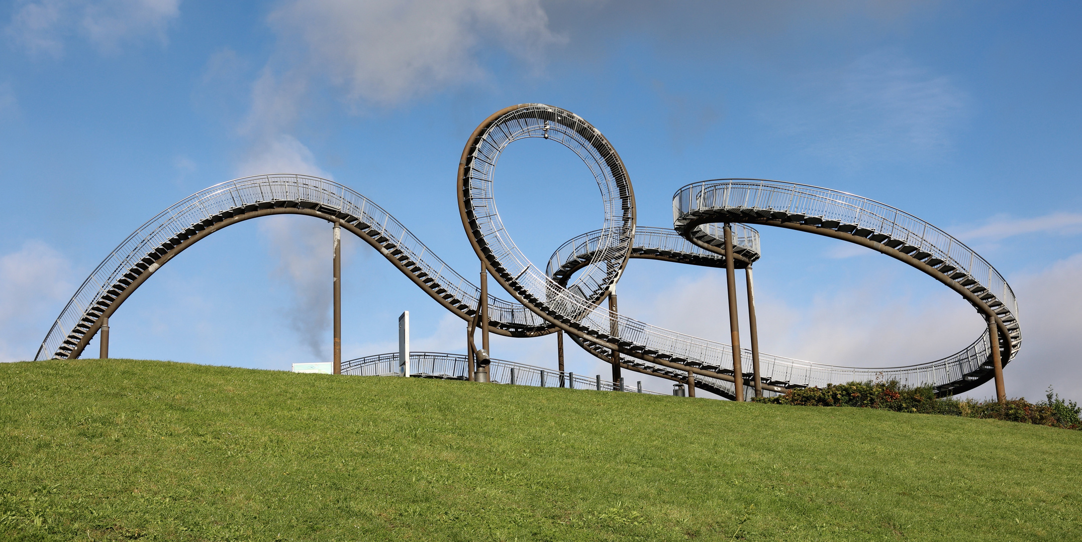 Tiger & Turtle