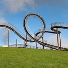 Tiger & Turtle