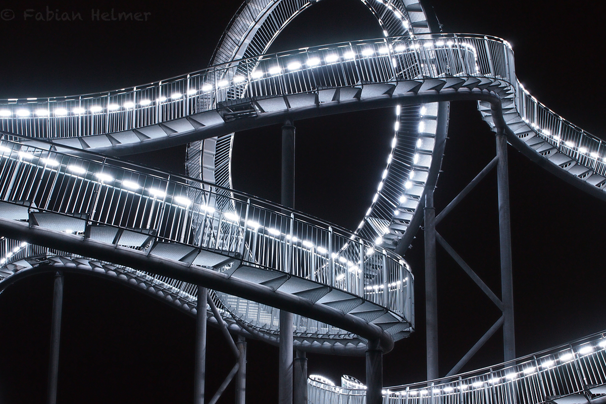 Tiger & Turtle