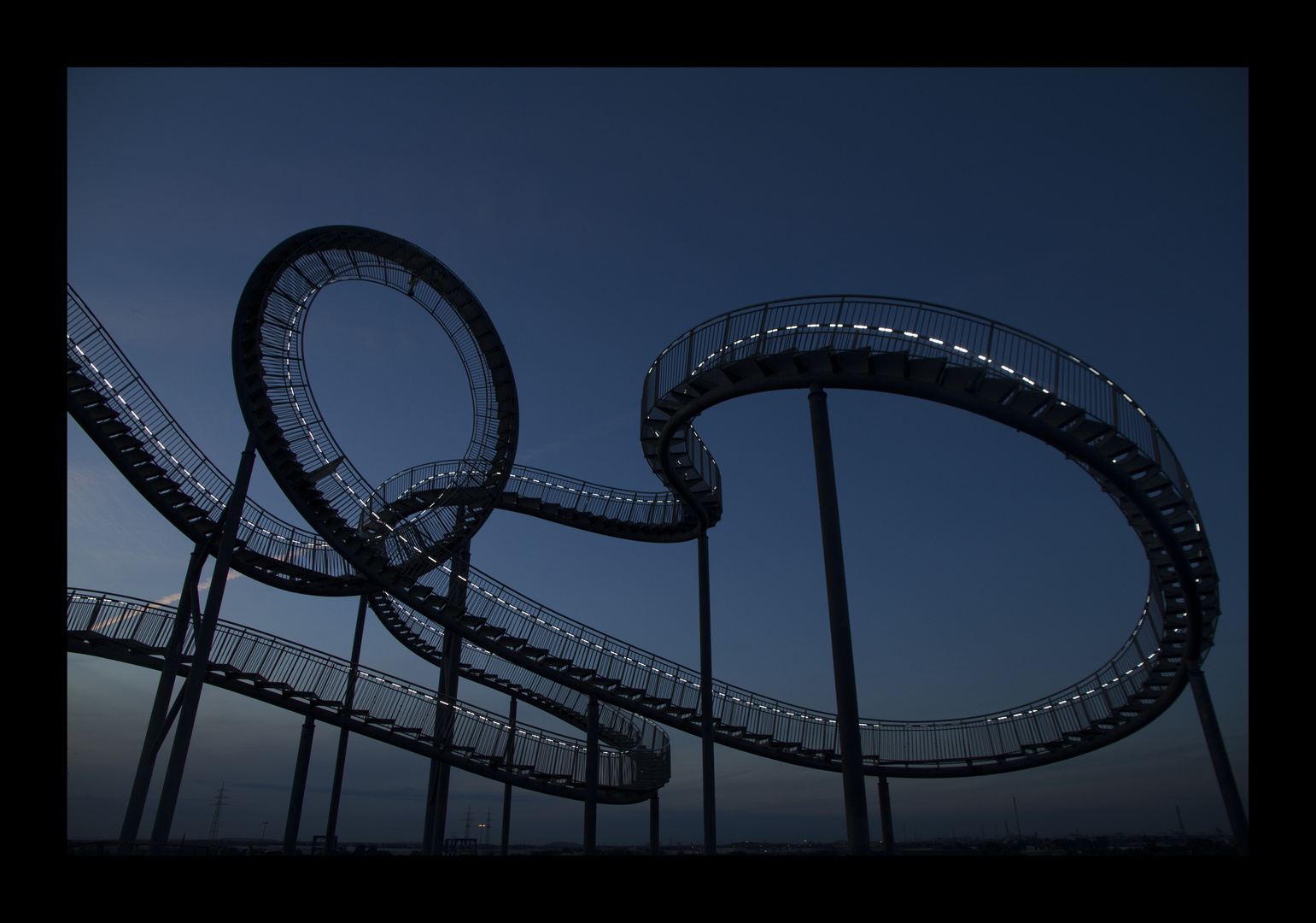 Tiger & Turtle