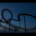 Tiger & Turtle