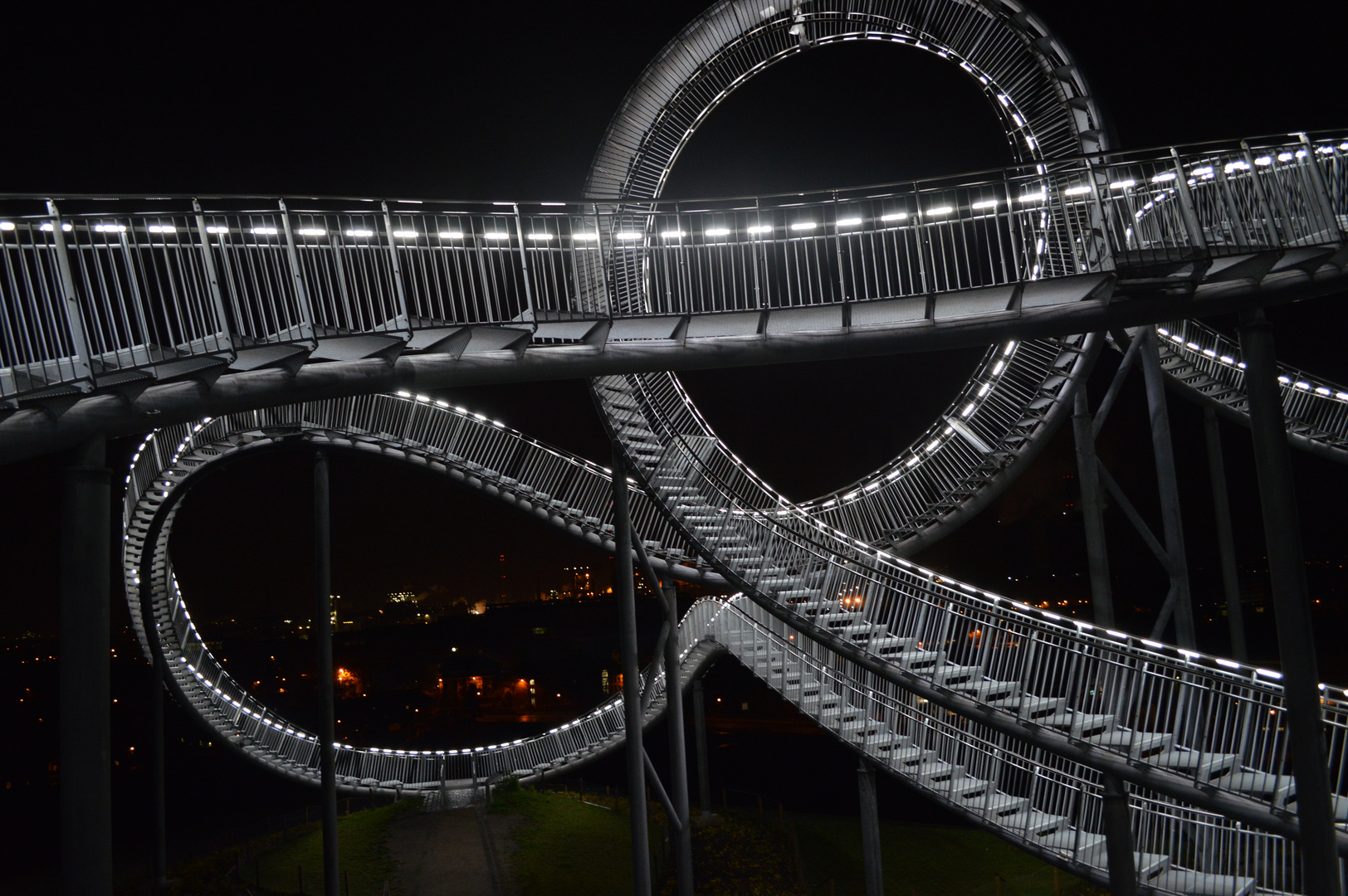 Tiger& Turtle