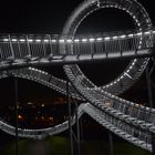 Tiger& Turtle