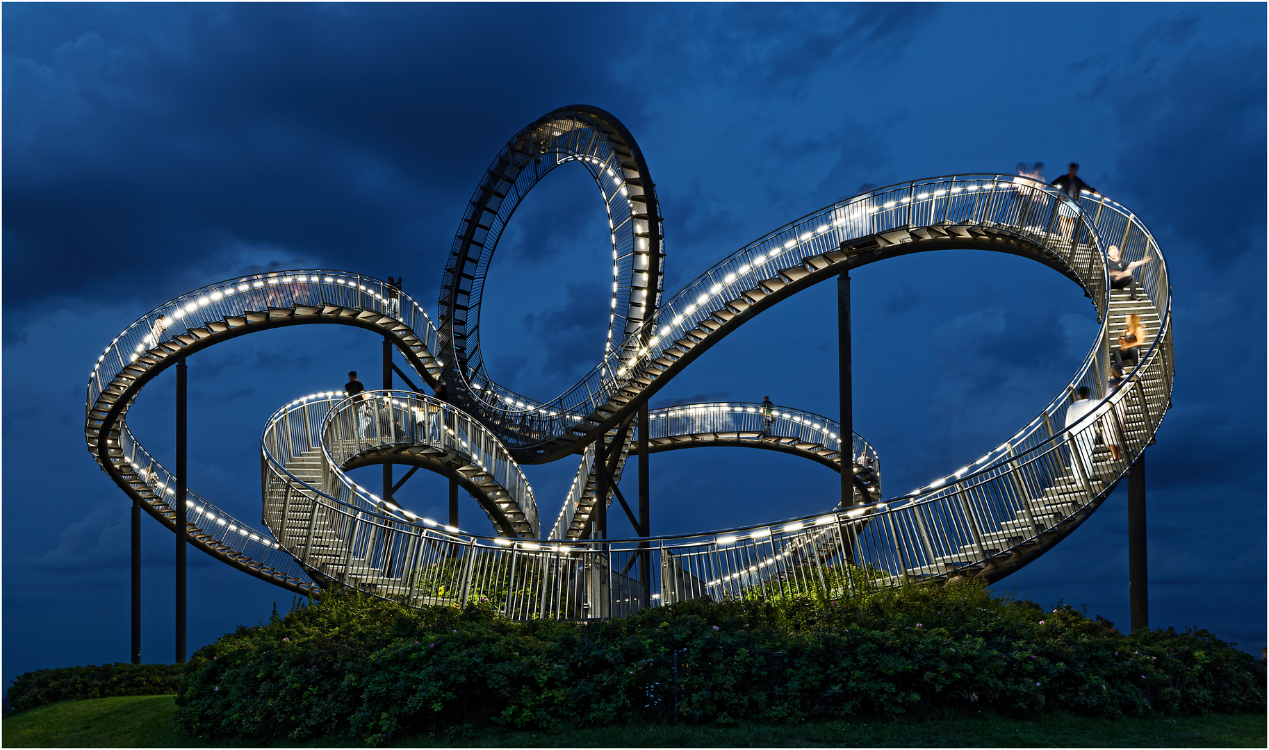 Tiger & Turtle 