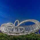 Tiger & Turtle