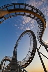 Tiger &Turtle