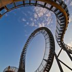 Tiger &Turtle