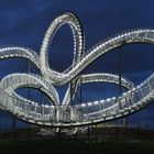 Tiger & Turtle