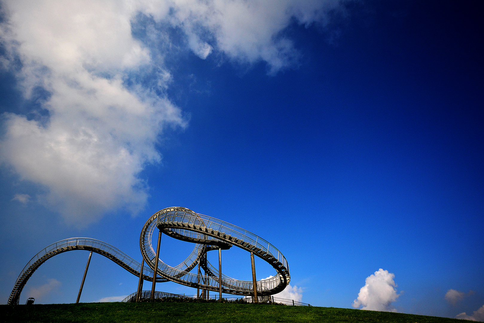 Tiger & Turtle 