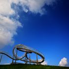 Tiger & Turtle 