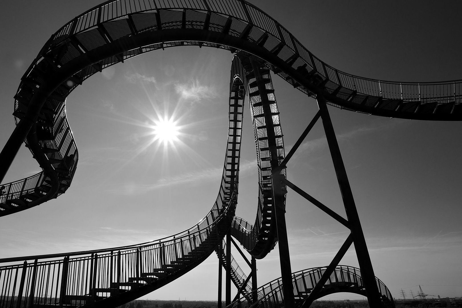 Tiger & Turtle