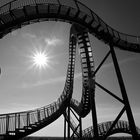 Tiger & Turtle