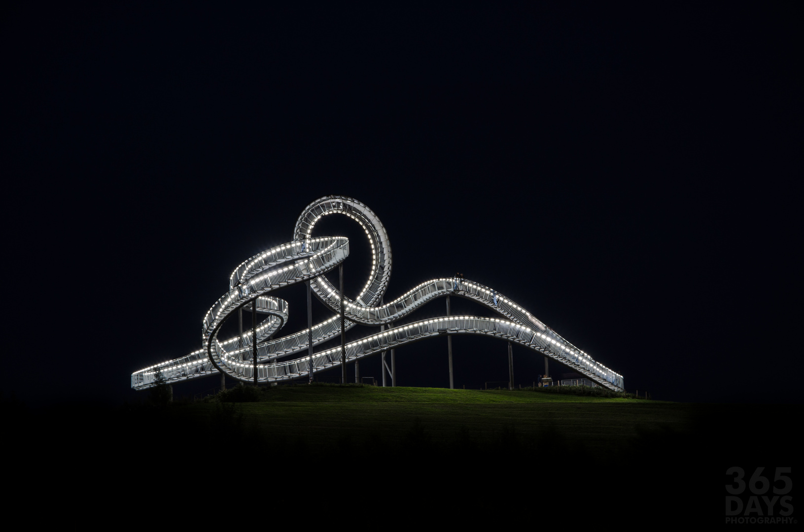 Tiger & Turtle