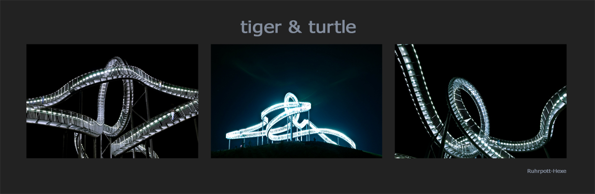 tiger & turtle