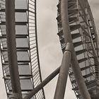 Tiger & Turtle