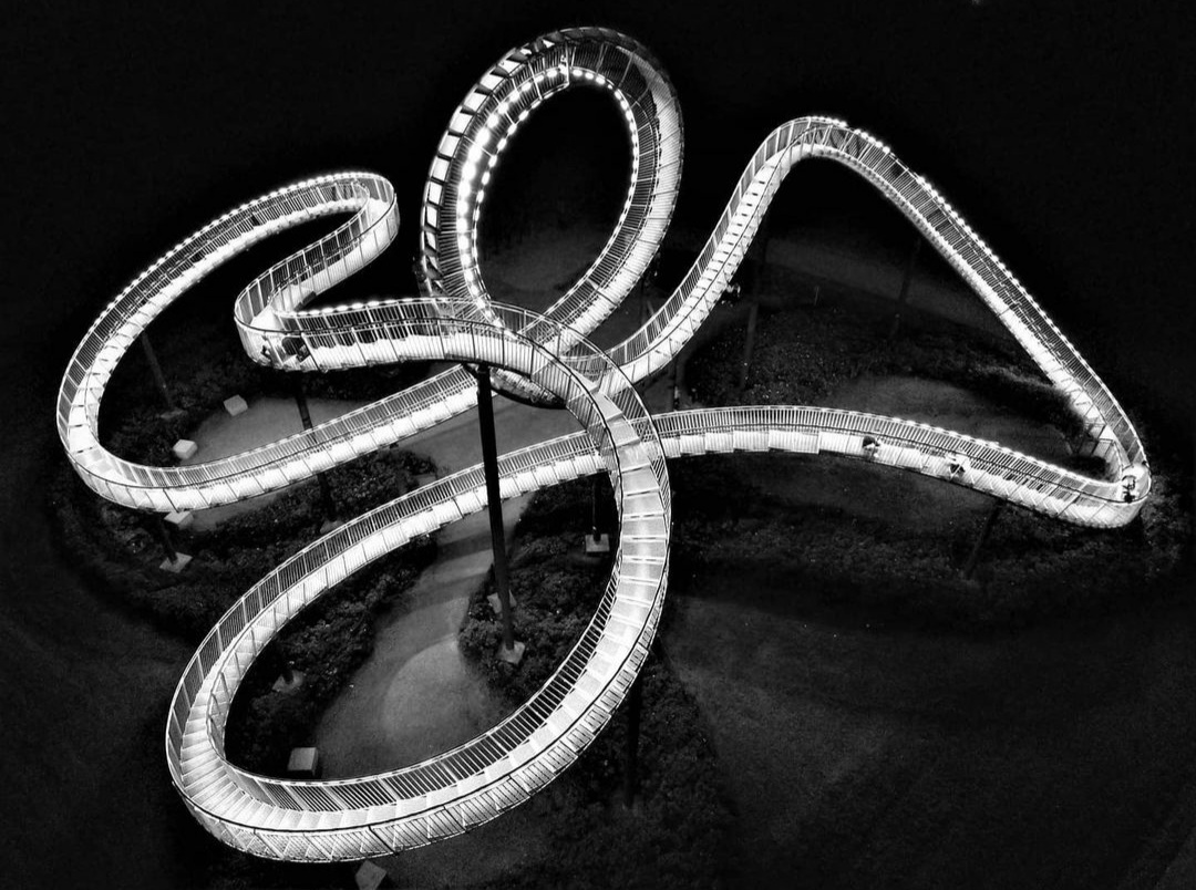 Tiger & Turtle