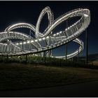 Tiger & Turtle