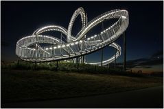 Tiger & Turtle