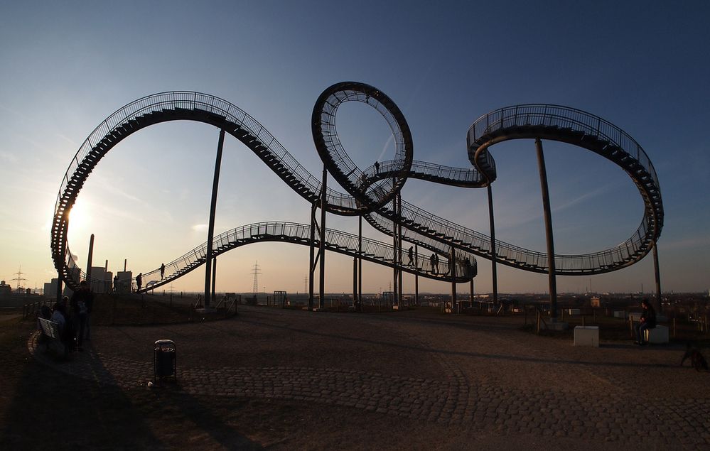 Tiger & Turtle