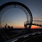 Tiger & Turtle