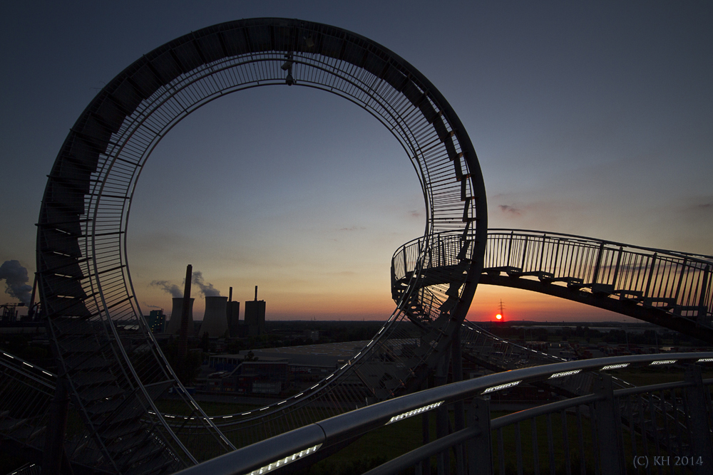 Tiger & Turtle