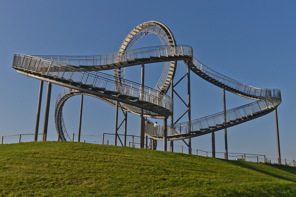 "Tiger & Turtle"