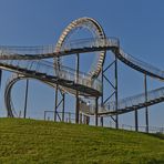 "Tiger & Turtle"