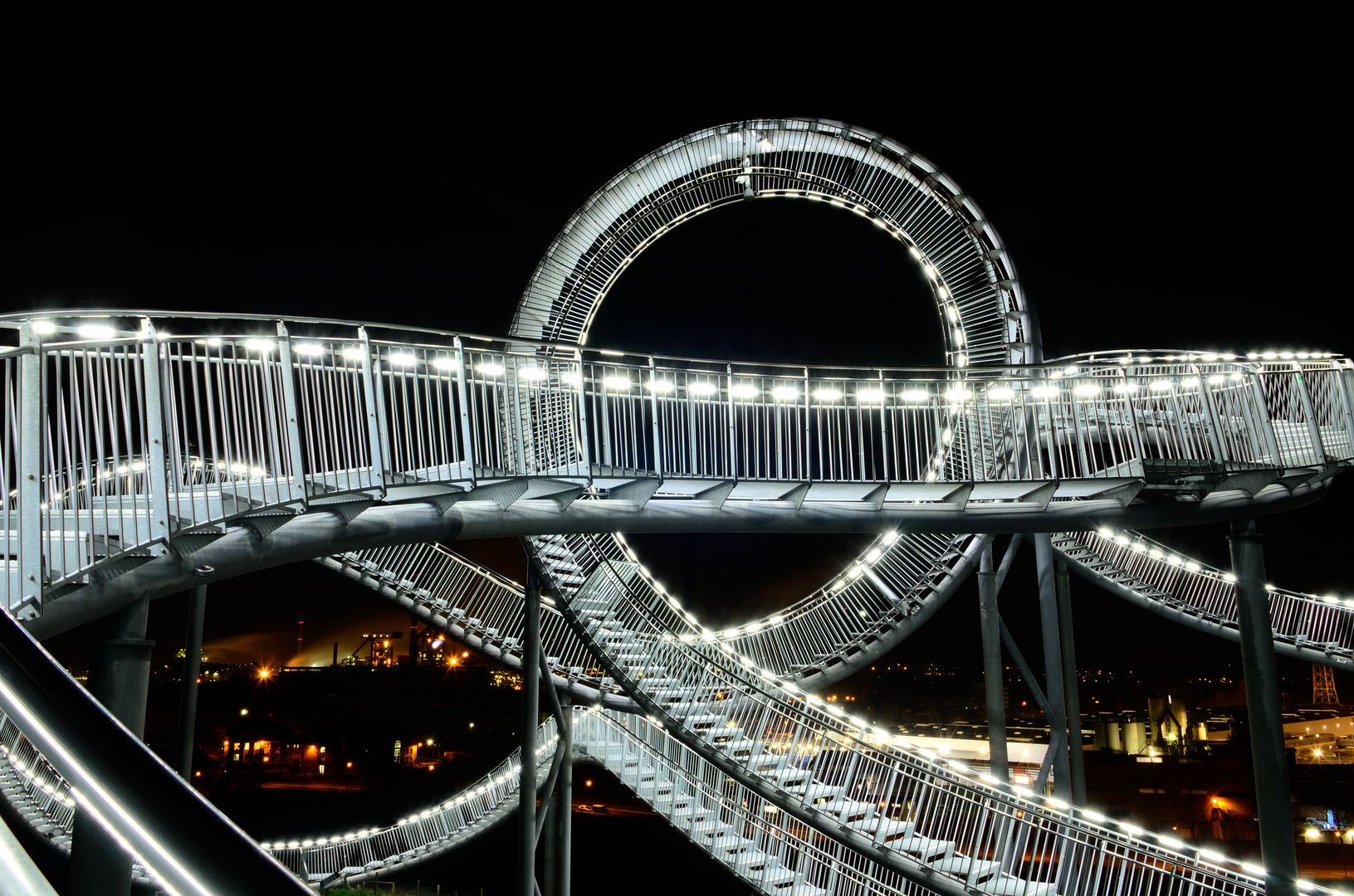 Tiger & Turtle