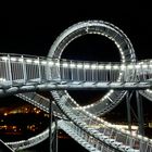 Tiger & Turtle