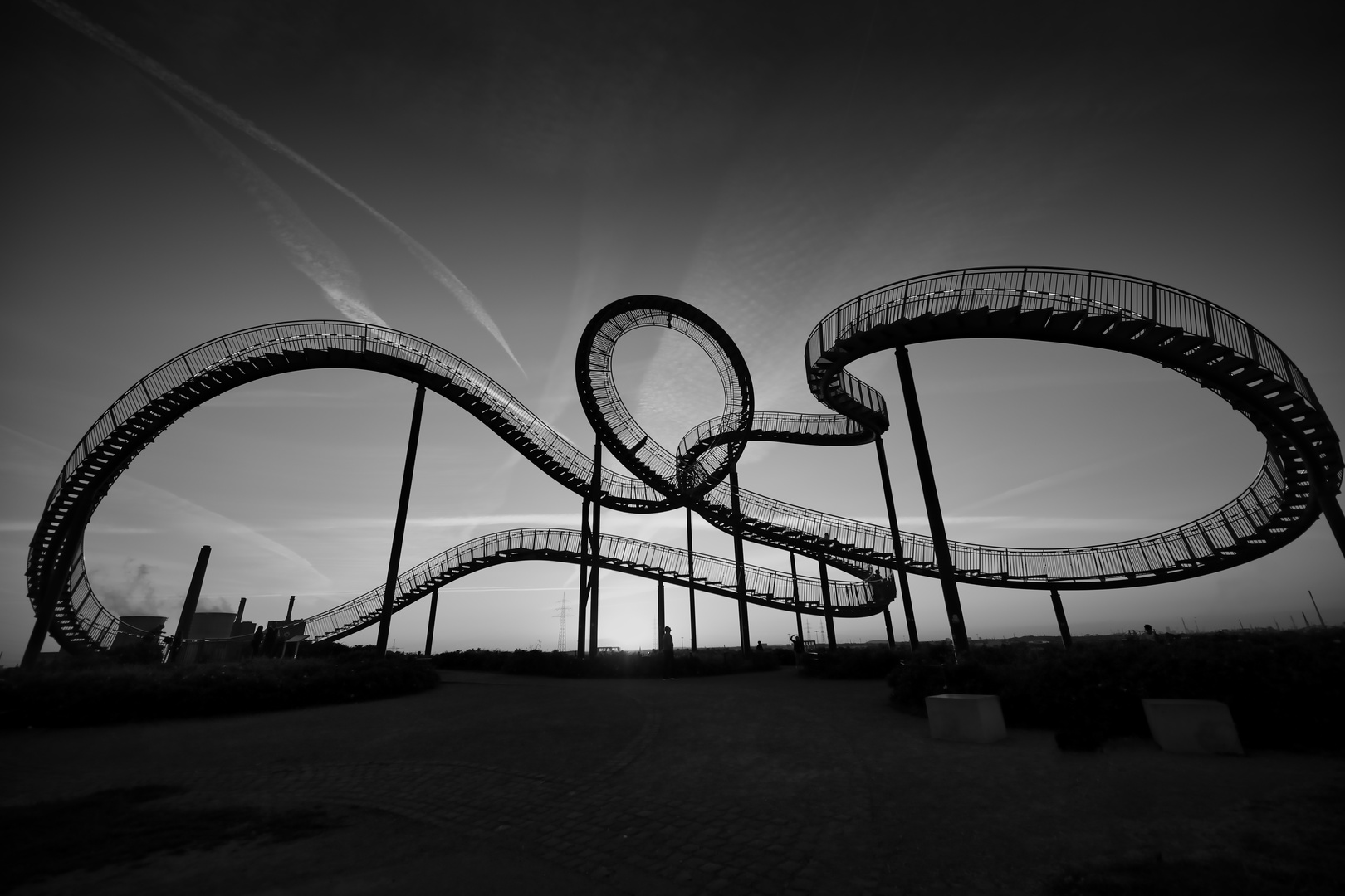 Tiger & Turtle