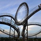 *Tiger & Turtle*