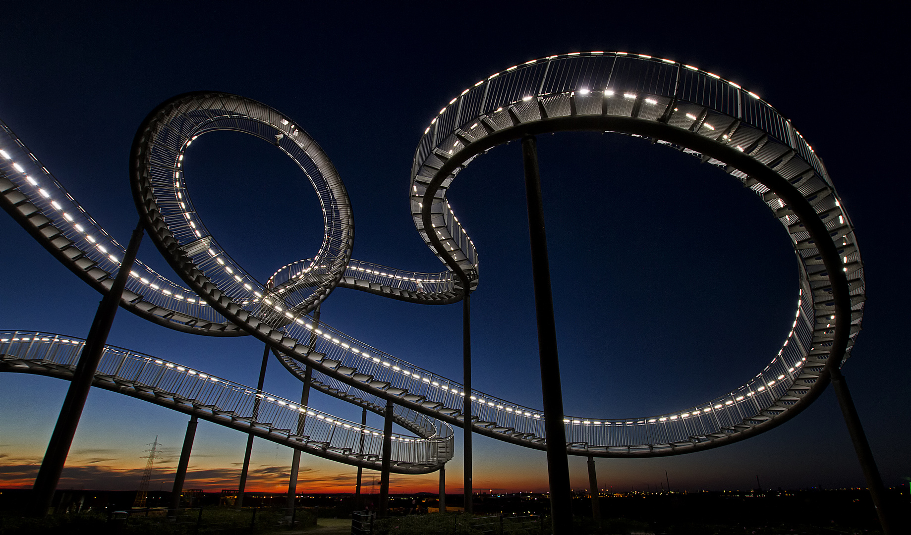 Tiger & Turtle