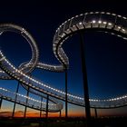 Tiger & Turtle