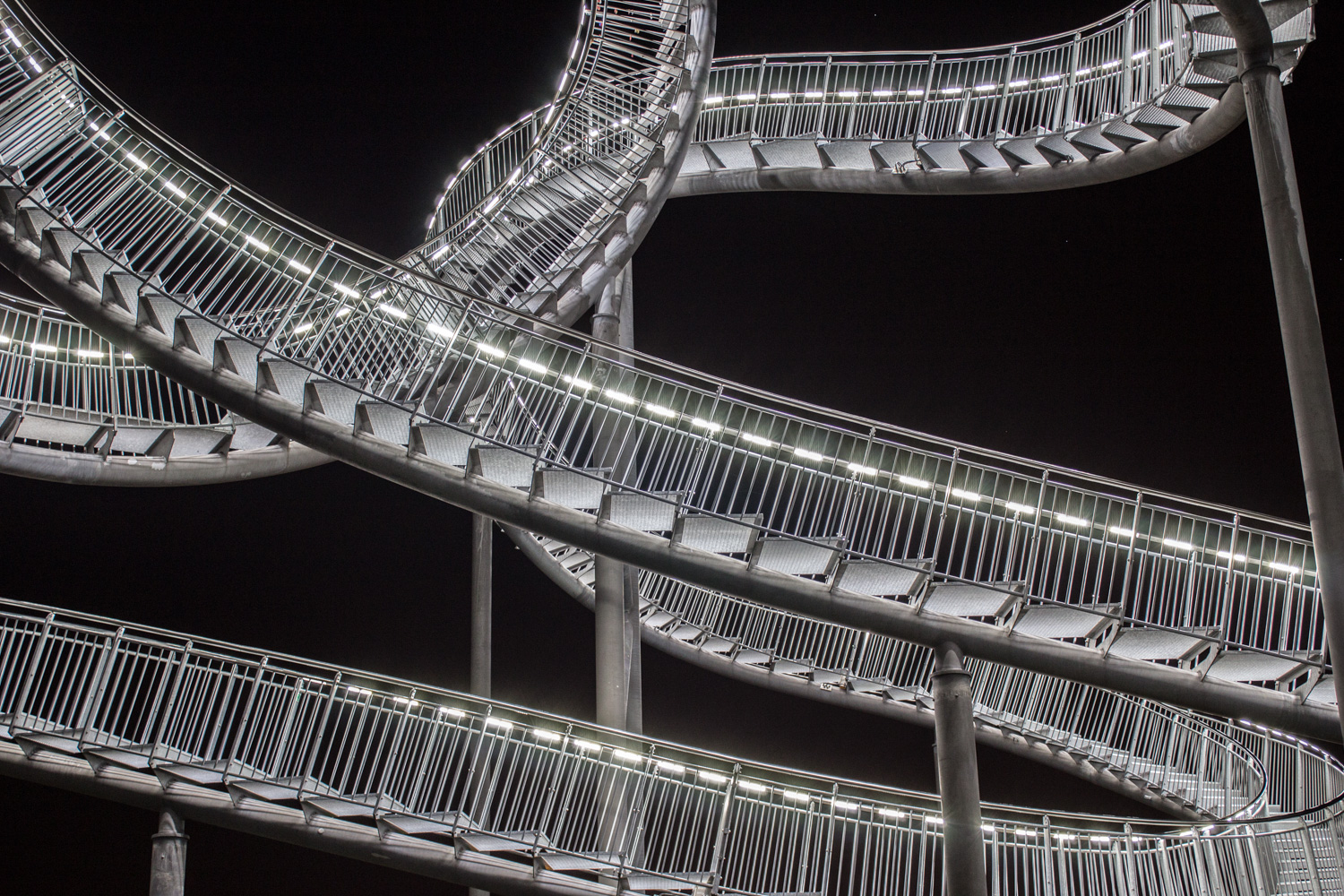 Tiger & Turtle