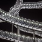 Tiger & Turtle