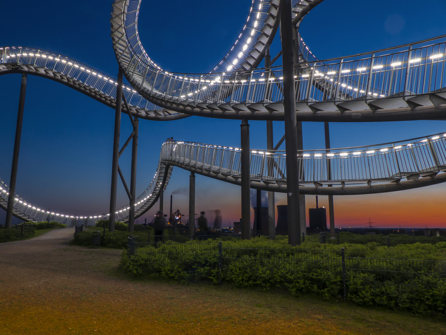 Tiger & Turtle