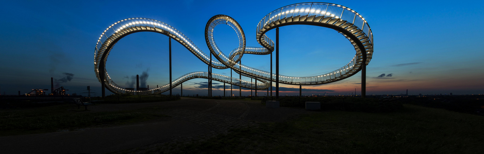 Tiger & Turtle