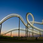 TIGER & Turtle